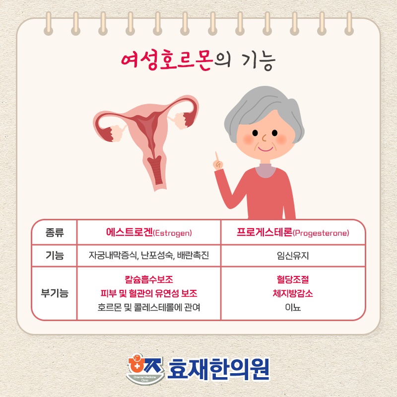 갱년기증후군 관리로 건강한 노년 준비하기